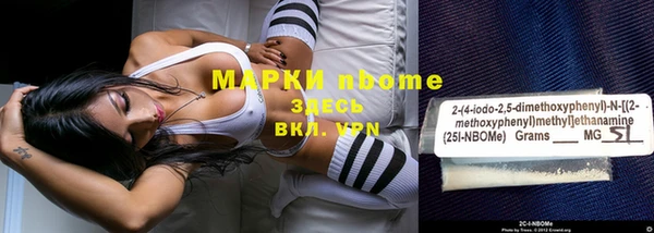прущий лед Бородино