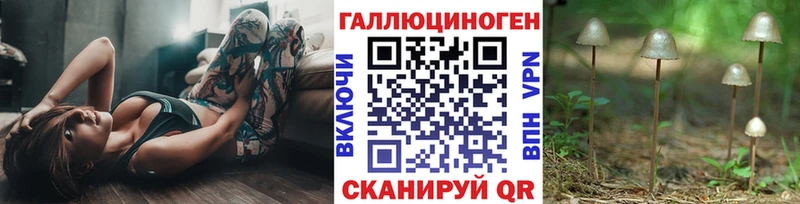 Псилоцибиновые грибы Psilocybine cubensis  Купить где  Микунь 