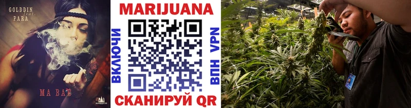 Купить где  Микунь  Канабис сатива 